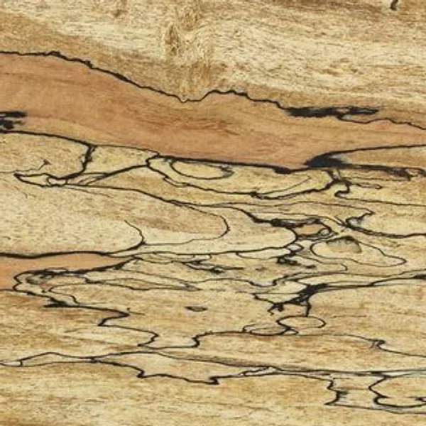 Spalted Maple